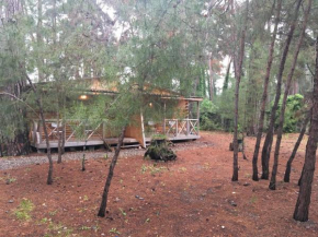  Cottages on Gosdacha  Lidzava